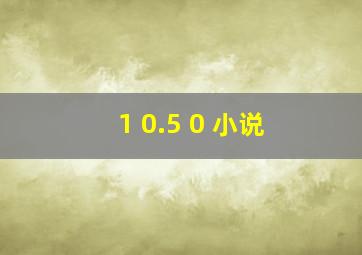 1 0.5 0 小说